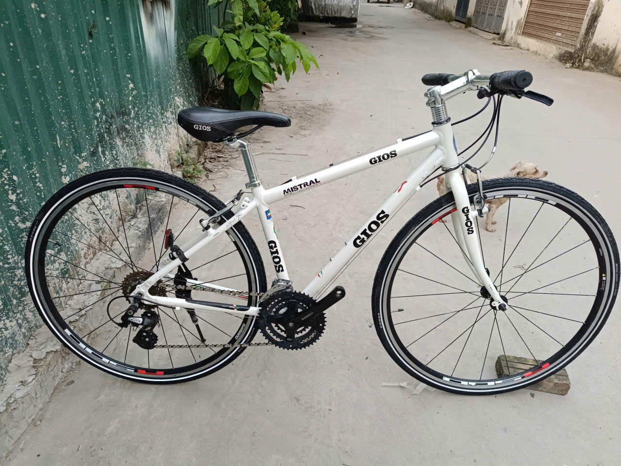 Xe đạp touring GIOS của Ý hàng bãi Nhật (Còn xe)